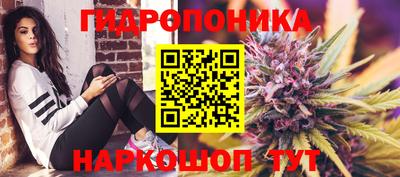 спиды Краснознаменск